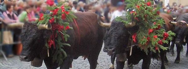 Feste e sagre
